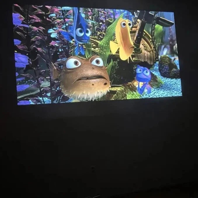 Nordic Home Projektor - Nordic Display